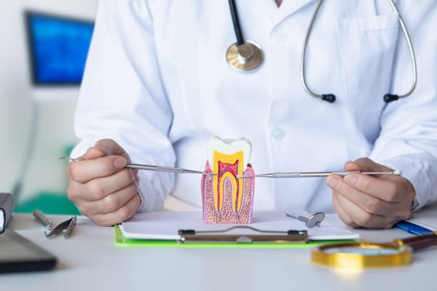 Best Emergency Tooth Extraction in Winfield, WV